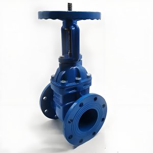 手動閘閥Z41T-16 DN50/DN65廠家直銷，上海發